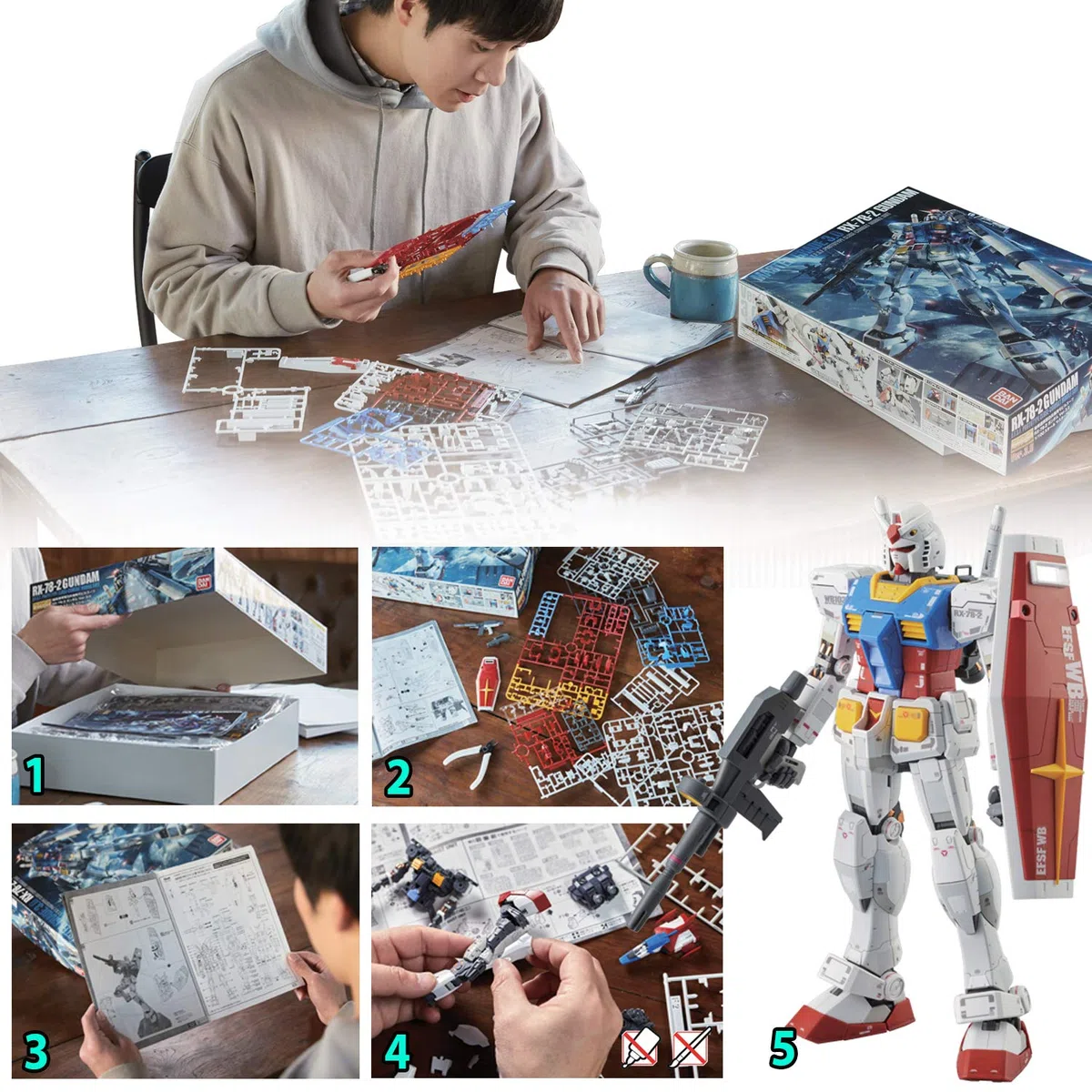 Bandai Hg 1/144 Strike Freedom Gundam