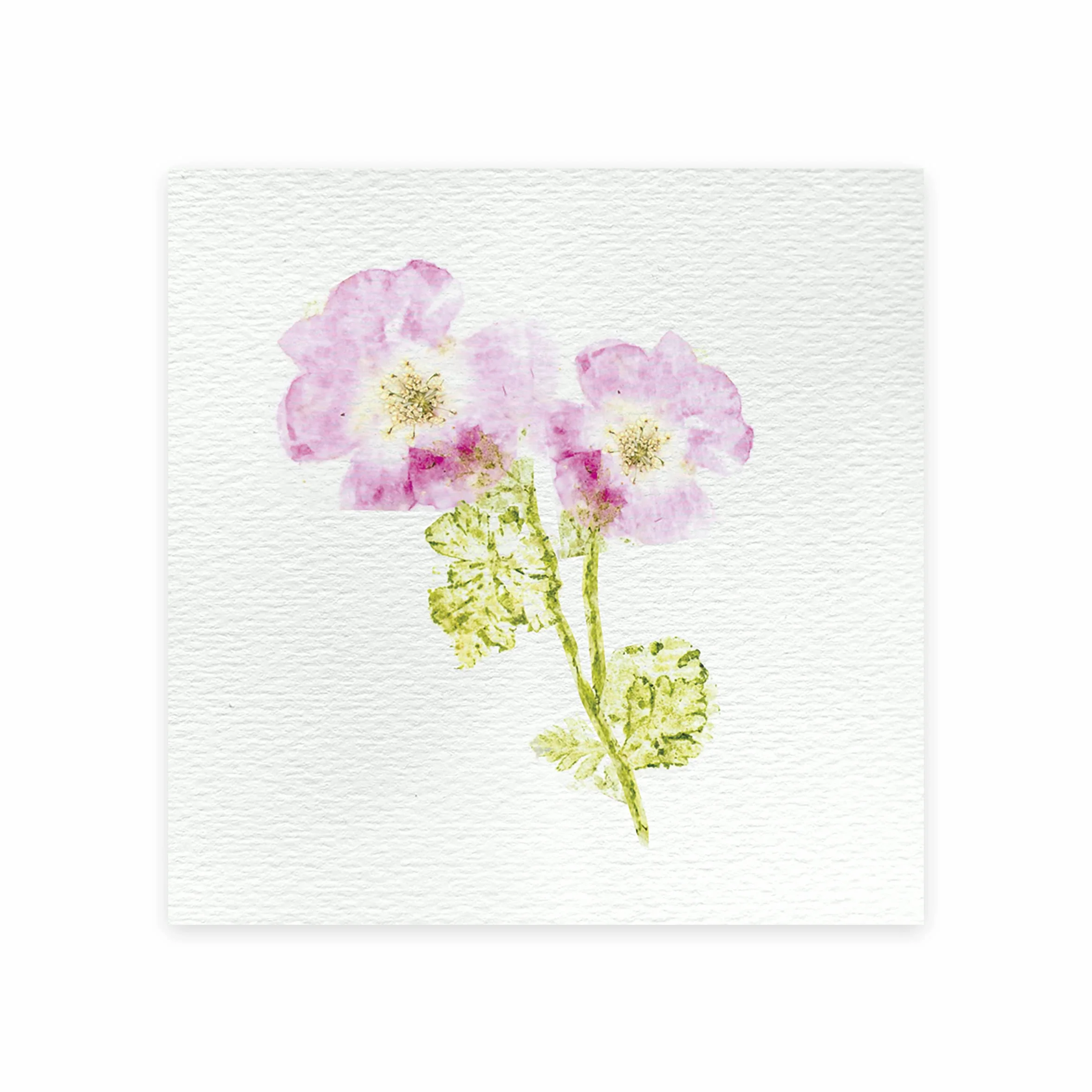 Janod - Kit Pressa-Fiori per Bambini - 6 attività da Realizzare - Les Ateliers Déco - Kit attività Creative Bambini - Abilità Fino-Motorie e Concentrazione - dai 7 Anni, J07879