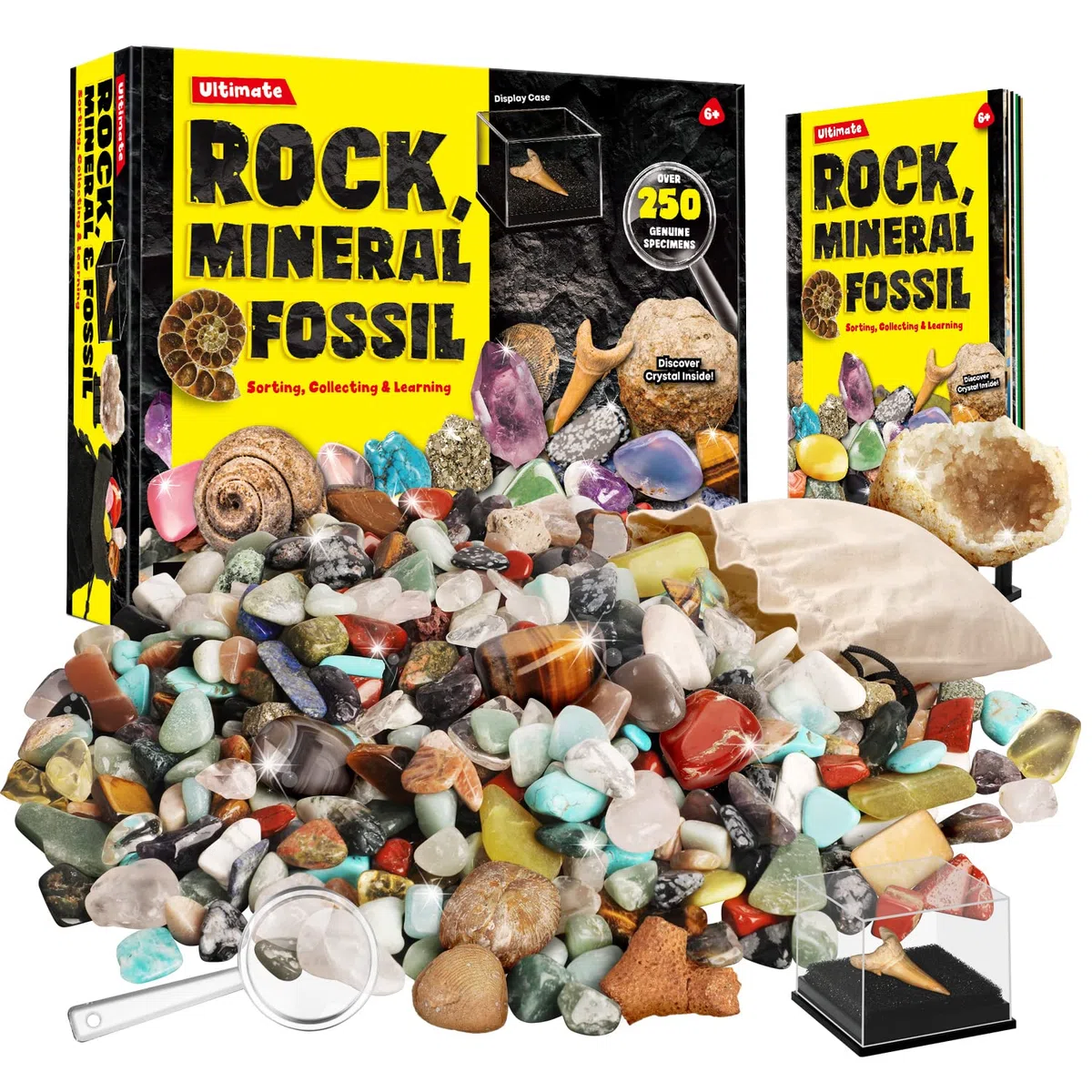 XXTOYS - Kit di pietre e minerali da collezione - 250 geodi e fossili naturali - Consegnato con vetrina e custodia - 6 7 8 9 10 anni