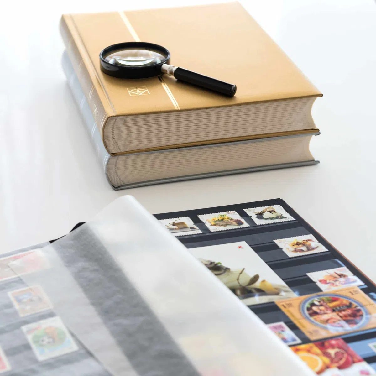 Leuchtturm 358058 Album per la Raccolta dei francobolli Comfort - DIN A4, 64 Pagine, Strisce di Vetro, Copertina Imbottita - Oro