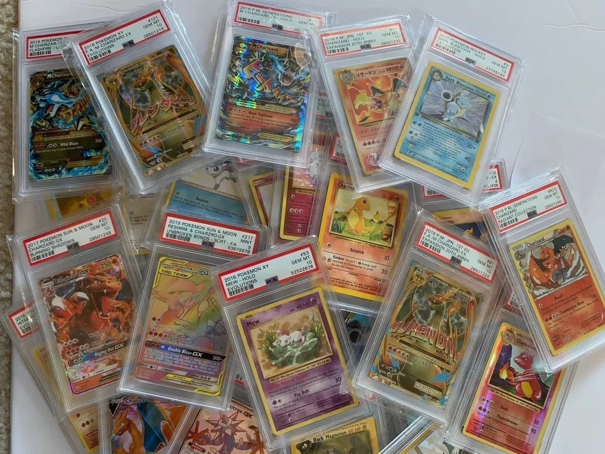 GCC Pokemon: 1 carta Pokemon di grado casuale (Beckett, PSA o CGC), grado 8 o superiore (inglese o giapponese)