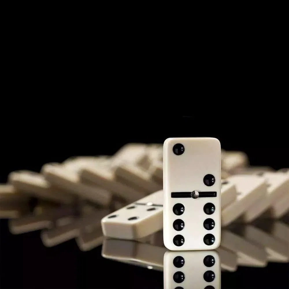 Double Six Dominoes Set 28 Pezzi Domino con Scatola, Domino Gioco di Puzzle Giocattolo Educativo, gioco da tavolo in per interni, giocattolo in legno