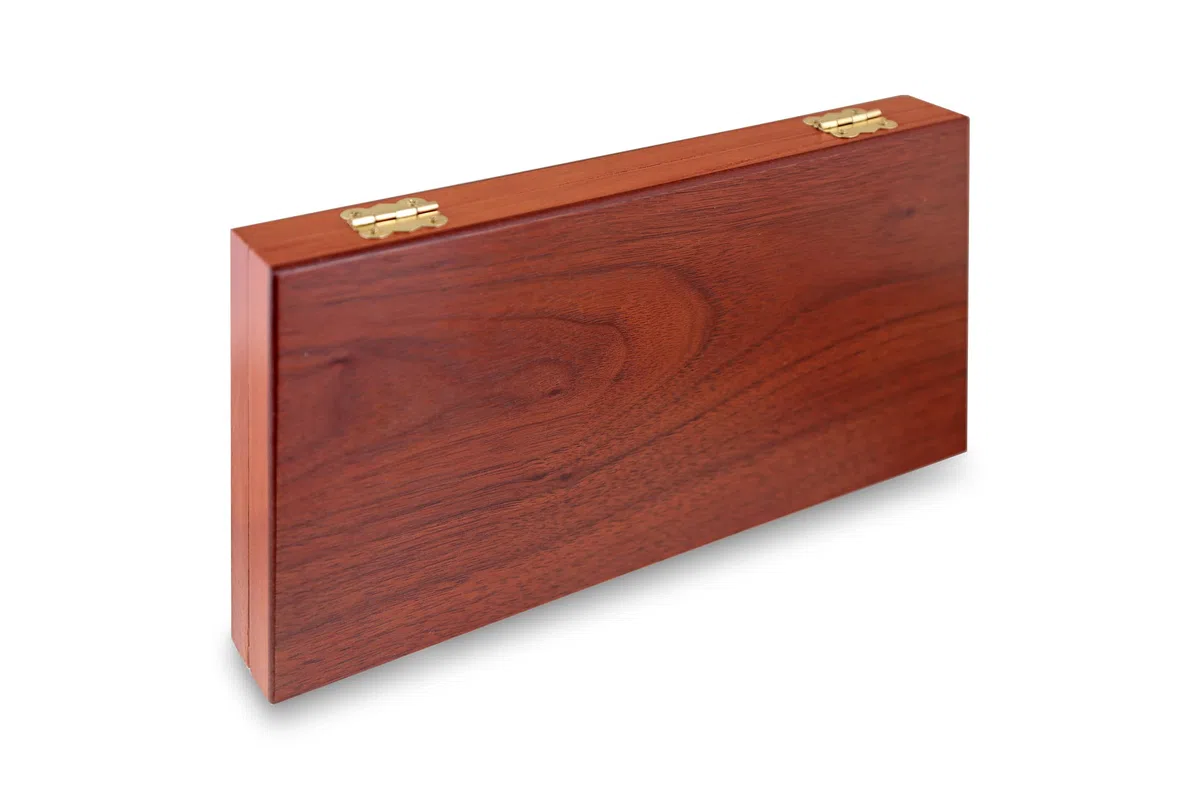 Aquamarine Giochi - Backgammon Viaggi, 2 giocatori (Compudid SG1019)