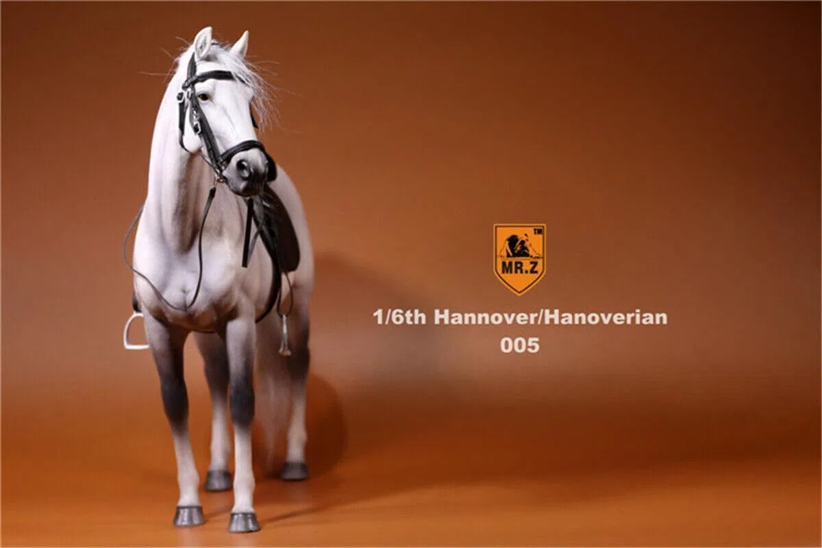 AMITD Mr.Z 1:6 Scale Germany Hanover Horse Figure Hanoverian Steed Animal Figure (MRZ005)