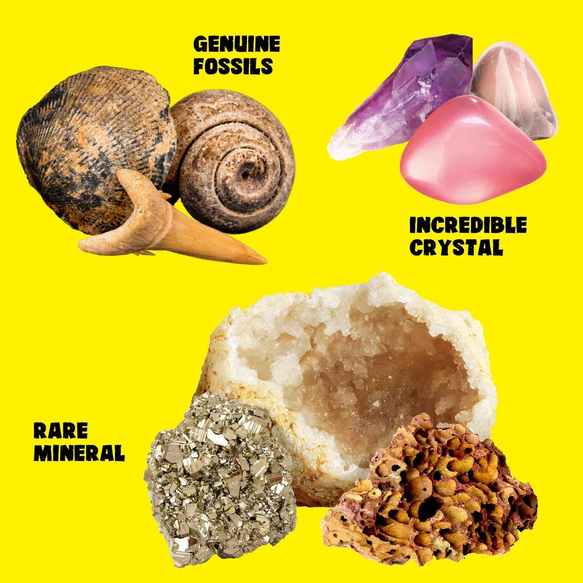 XXTOYS - Kit di pietre e minerali da collezione - 250 geodi e fossili naturali - Consegnato con vetrina e custodia - 6 7 8 9 10 anni