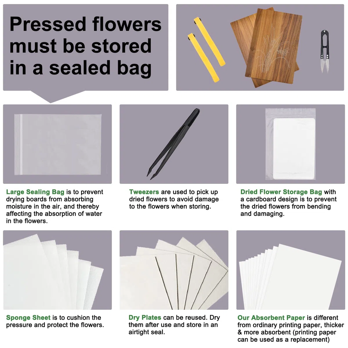 WANDIC Kit di stampa per fiori, avanzato per piante, grande kit di arte in legno per fai da te, esemplari di artigianato all'aperto, orchidea