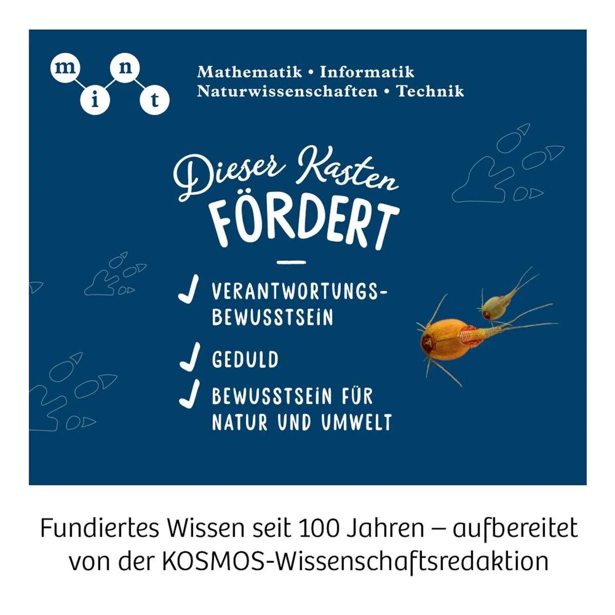 Triops-Welt: Experimentierkasten