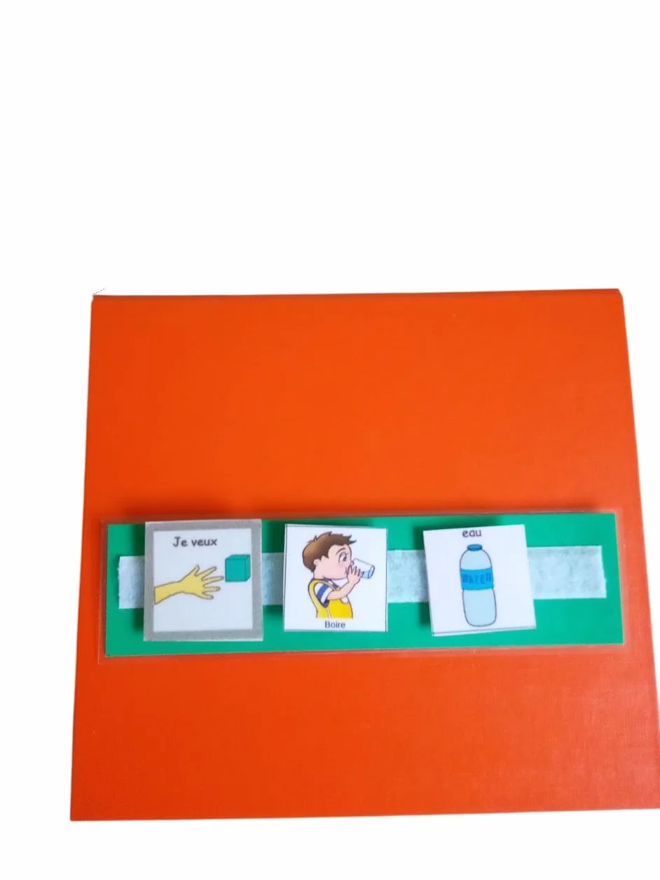 Generico - Classificazione di Comunicazione per Pictogrammi Tipo PECS Makaton Autistico TSA ADHD Autismo Supporto Visivo Disabilità