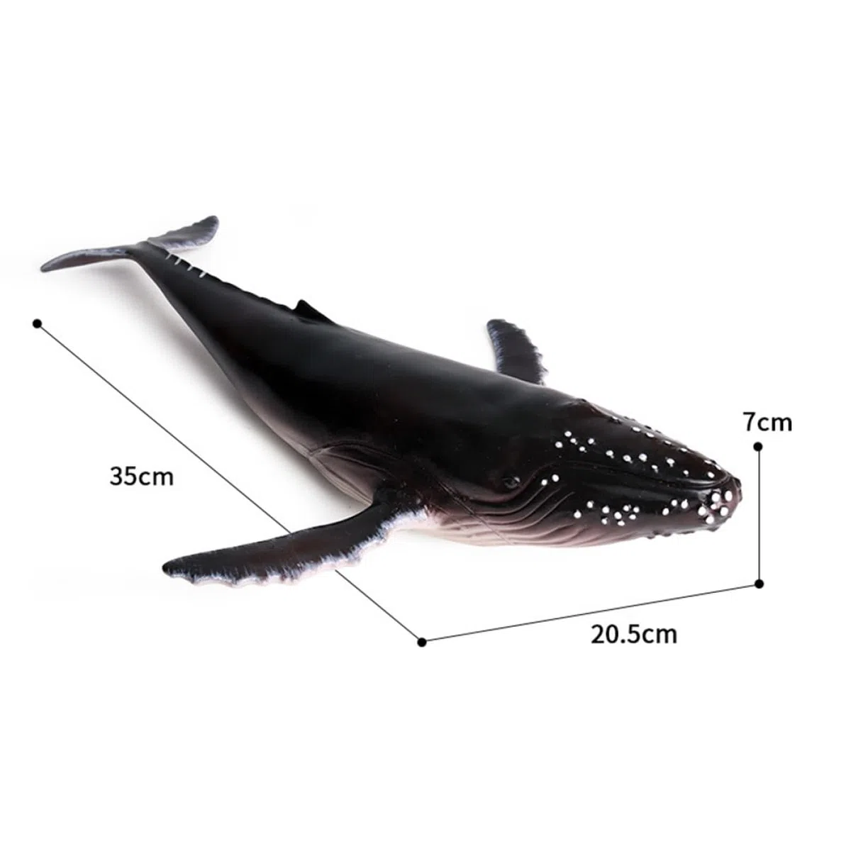 Toyvian 1pc Balena megattera tonno modello mare animale oceano figura