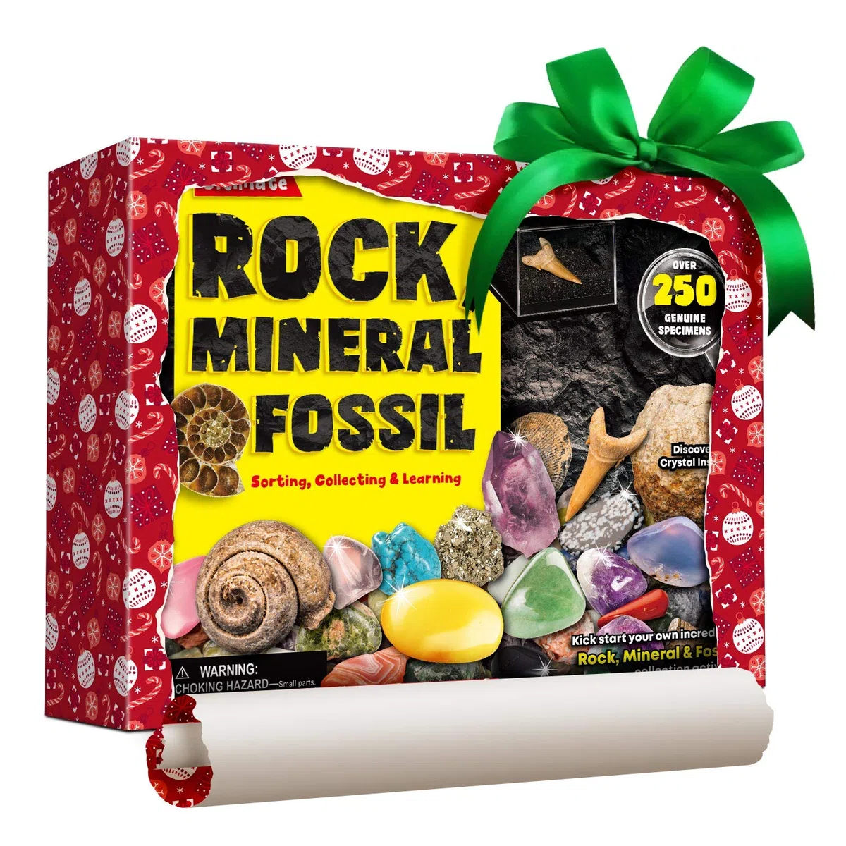 XXTOYS - Kit di pietre e minerali da collezione - 250 geodi e fossili naturali - Consegnato con vetrina e custodia - 6 7 8 9 10 anni