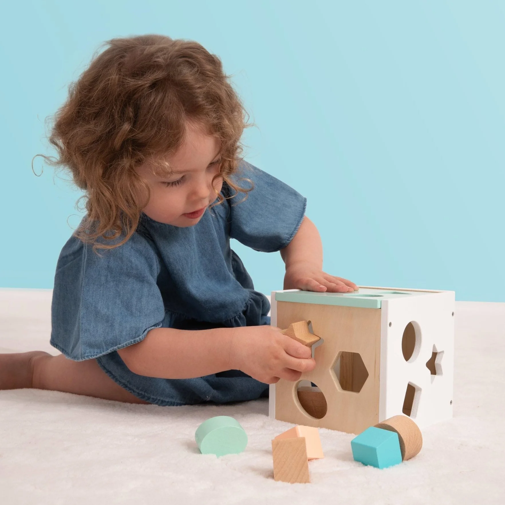 Owl & Fox OF212 - Cubo di smistamento in Legno, Giocattolo Montessori per Neonati e Piccoli a Partire da 12 Mesi, Forme assortite per Lo Sviluppo sensoriale e la risoluzione dei Problemi, in Legno