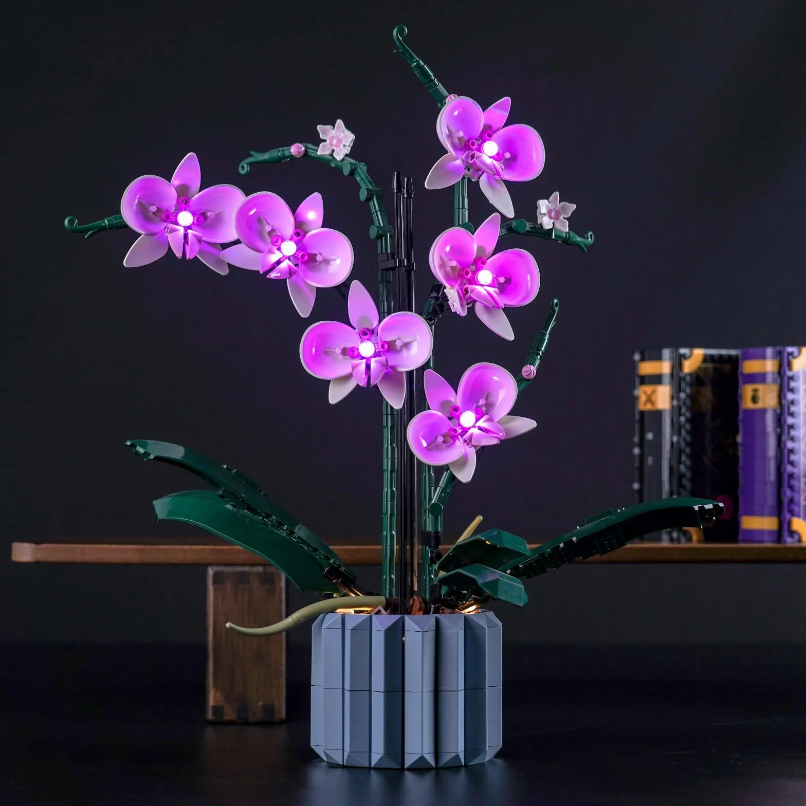 Set di luci LED compatibile con Lego Orchid (solo luci, nessun blocco di costruzione), Kit di luce compatibile con Lego 10311 Orchid Botanical Collection Set