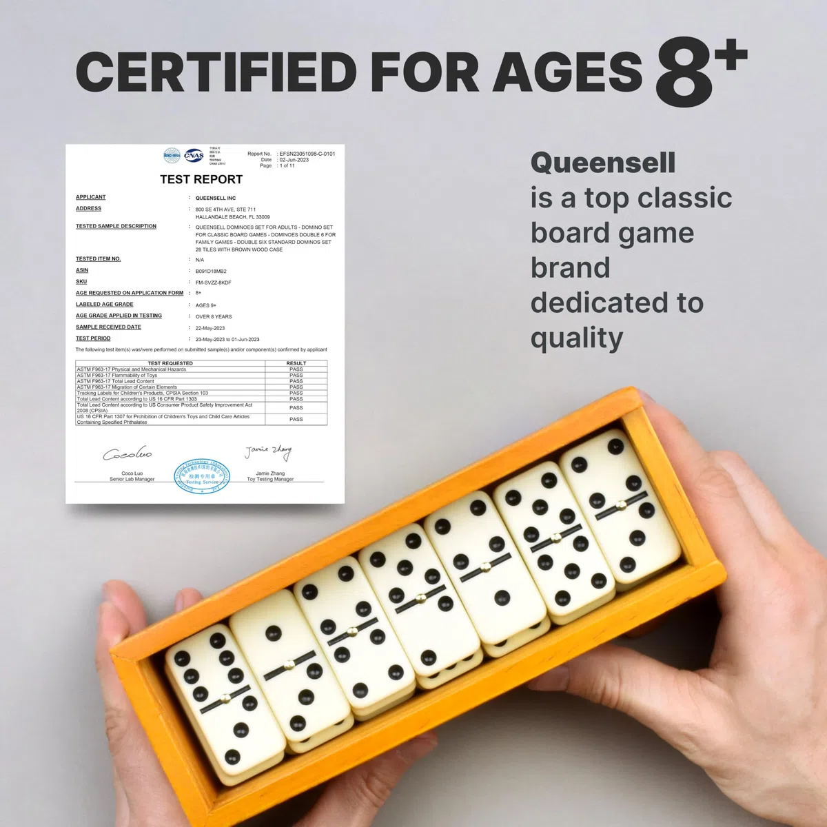 Queensell Juegos de Mesa - Domino per adulti, giochi da tavolo classici, doppio 6 domino per famiglie per bambini e adulti, set di 28 tessere standard con custodia in legno