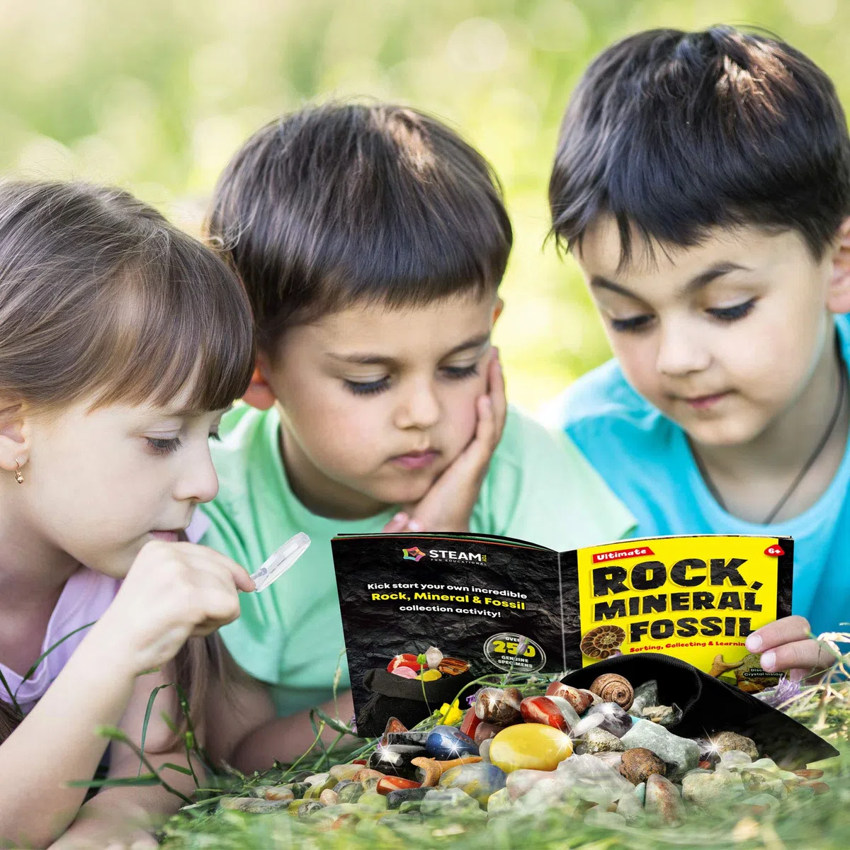 XXTOYS - Kit di pietre e minerali da collezione - 250 geodi e fossili naturali - Consegnato con vetrina e custodia - 6 7 8 9 10 anni