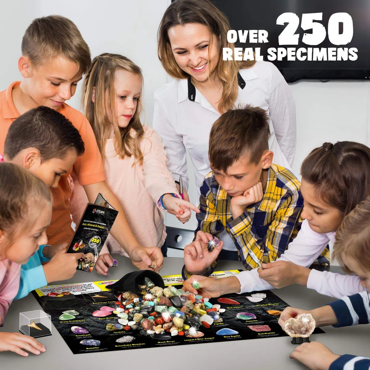 XXTOYS - Kit di pietre e minerali da collezione - 250 geodi e fossili naturali - Consegnato con vetrina e custodia - 6 7 8 9 10 anni