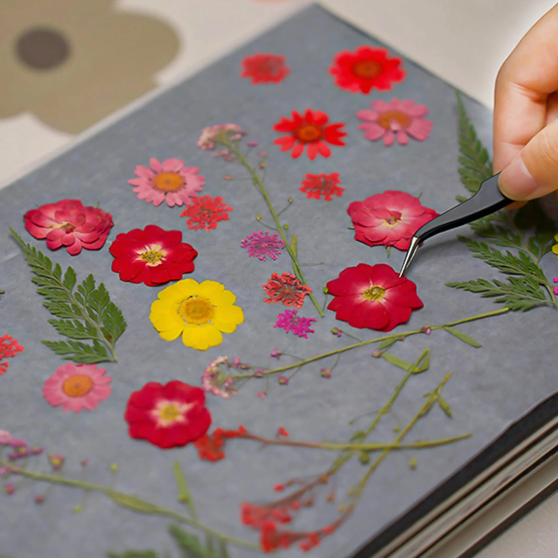 QSLKI Kit in Legno Per Pressatura Fiori, Piante e Foglie - 15x21cm Con 6 Strati Per Adulti e Bambini - Perfetto Per Arti e Mestieri