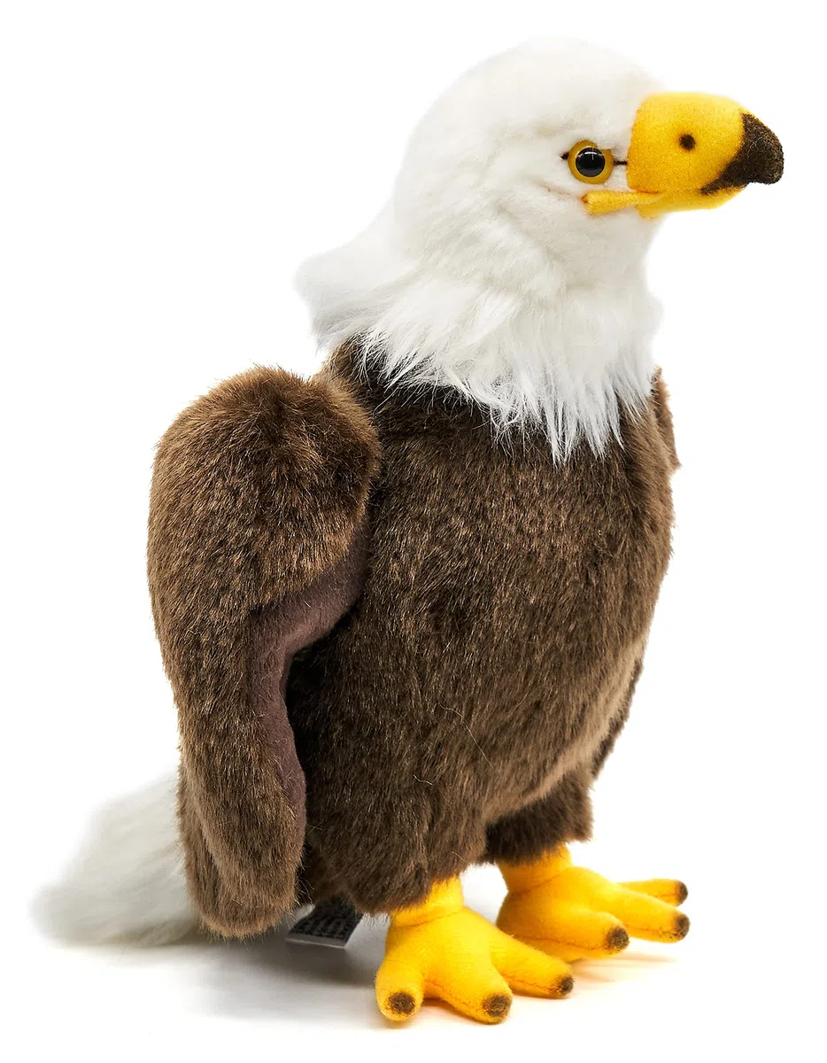 Uni-Toys - Aquila calva – 24 cm (altezza) – aquila di peluche, uccello – peluche