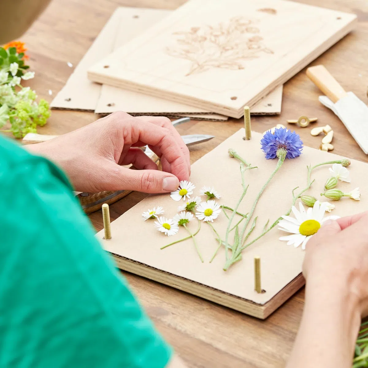 Die Stadtgärtner – Pressa per fiori in legno di faggio, pressa per piante di alta qualità per asciugare delicatamente i fiori, pressa in legno con ampia superficie di pressatura (190 x 250 mm)