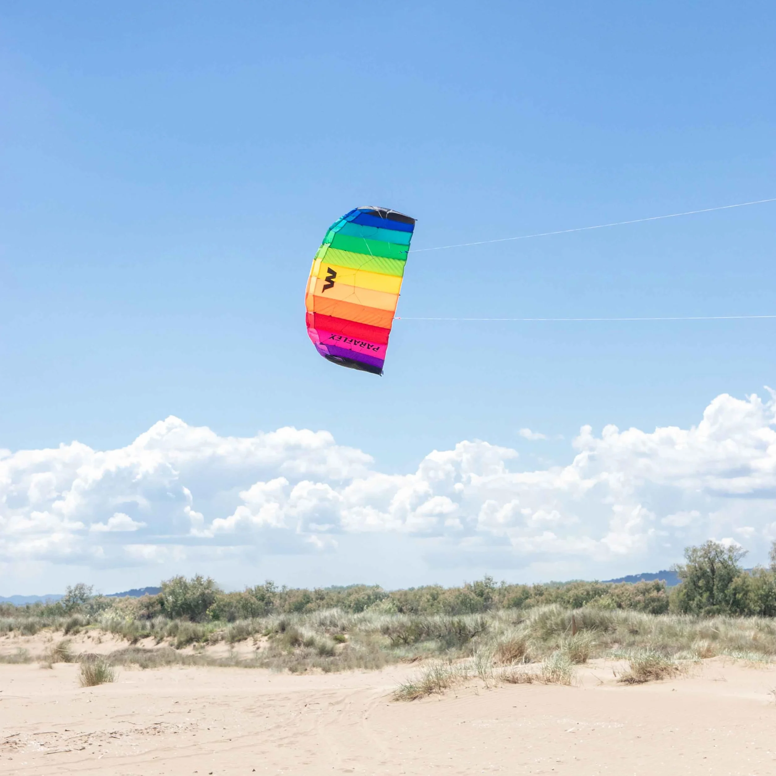 Wolkenstürmer Paraflex Basic 1.2 tappeto volante, Flame - kite a 2 linee per principianti