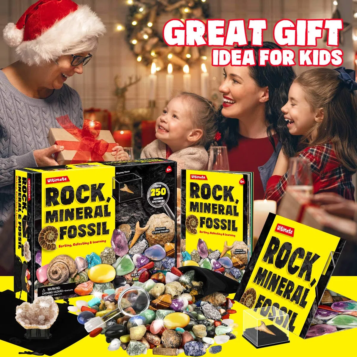 XXTOYS - Kit di pietre e minerali da collezione - 250 geodi e fossili naturali - Consegnato con vetrina e custodia - 6 7 8 9 10 anni