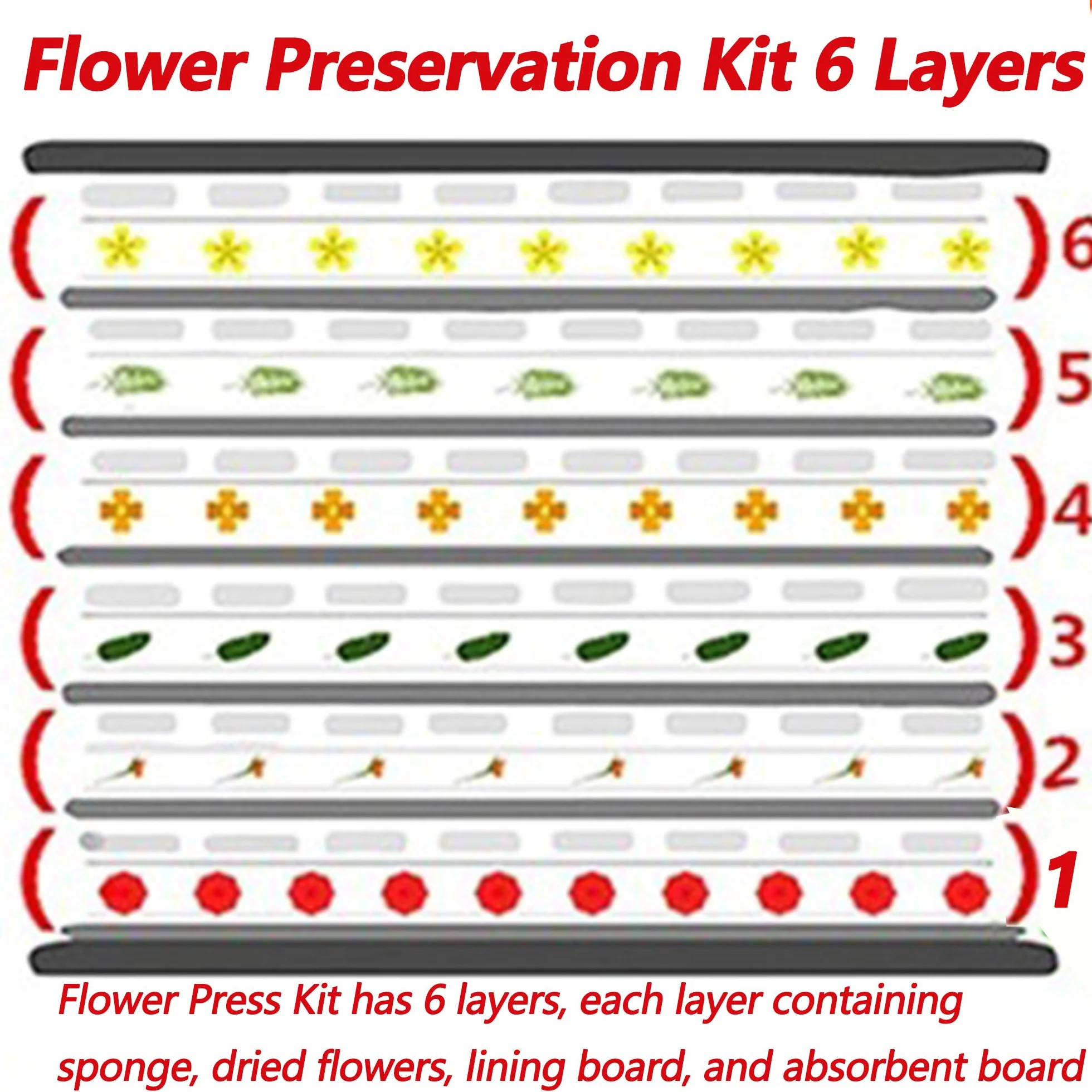 QSLKI Kit in Legno Per Pressatura Fiori, Piante e Foglie - 15x21cm Con 6 Strati Per Adulti e Bambini - Perfetto Per Arti e Mestieri