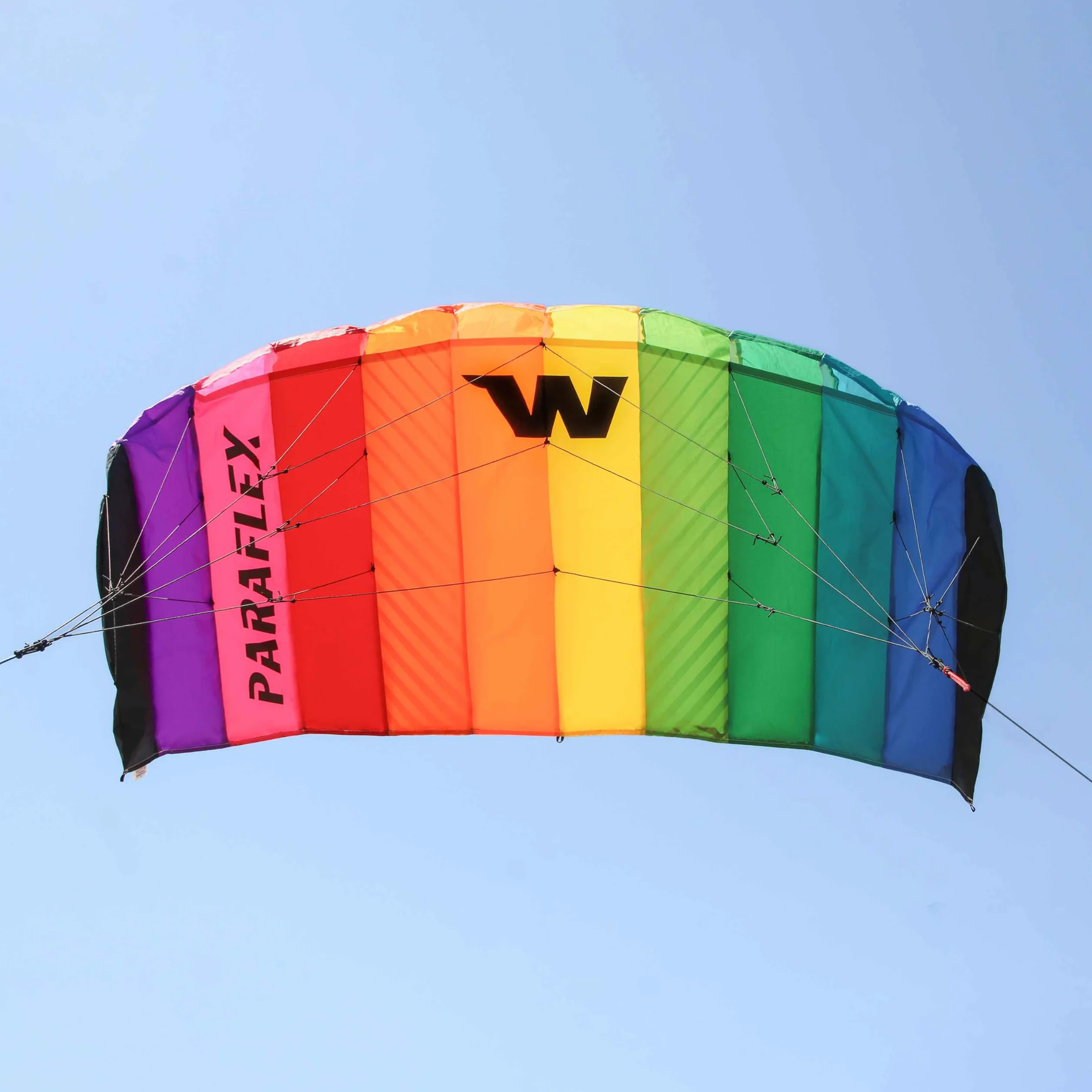 Wolkenstürmer Paraflex Basic 1.2 tappeto volante, Flame - kite a 2 linee per principianti