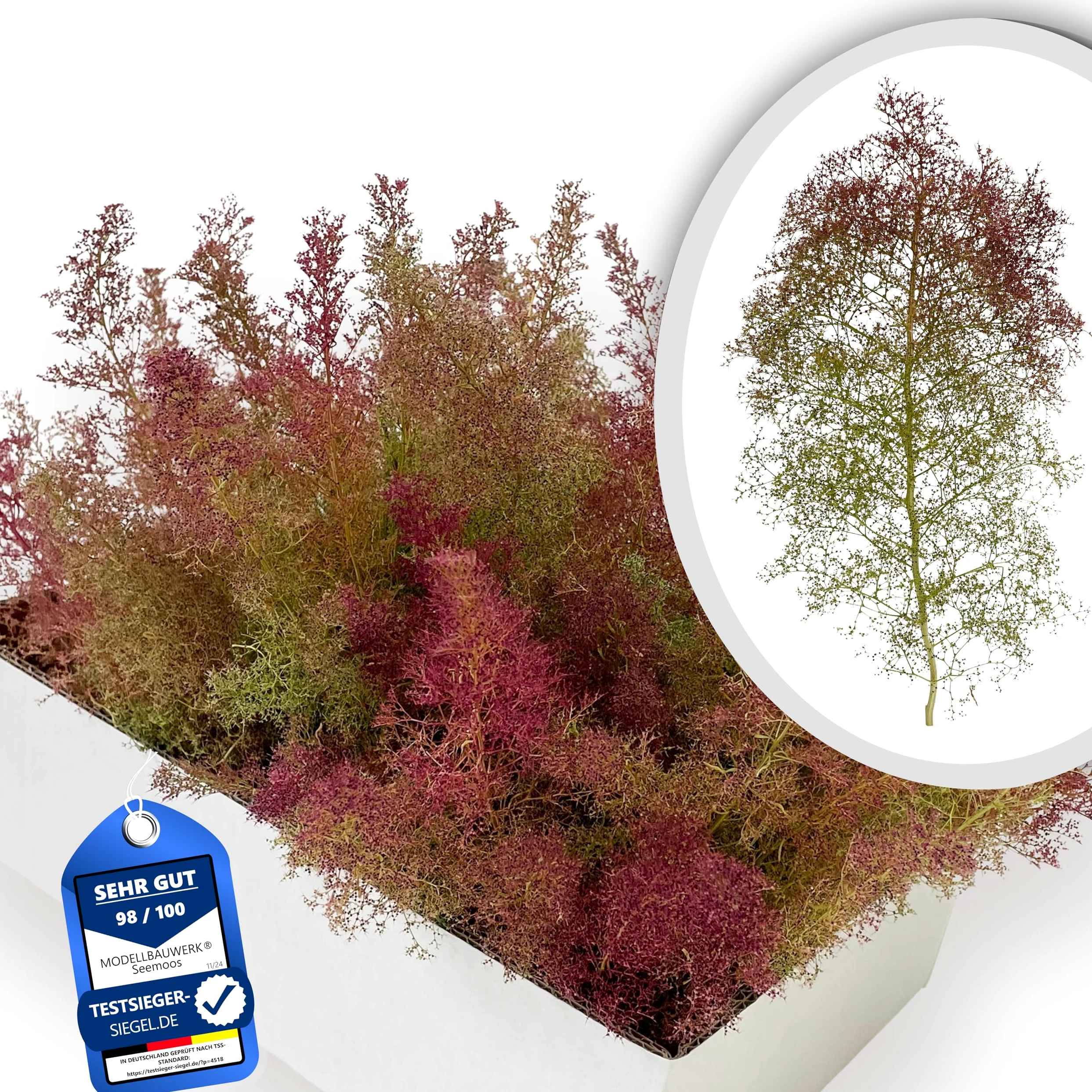Seemoos/schiuma di mare, dimensioni cartone 31 x 22 x 16 cm, buon volume/raccolto 2026, ideale per foreste modellistiche, modellismo architettonico, alberi, cespugli, paesaggio e diorami, naturale