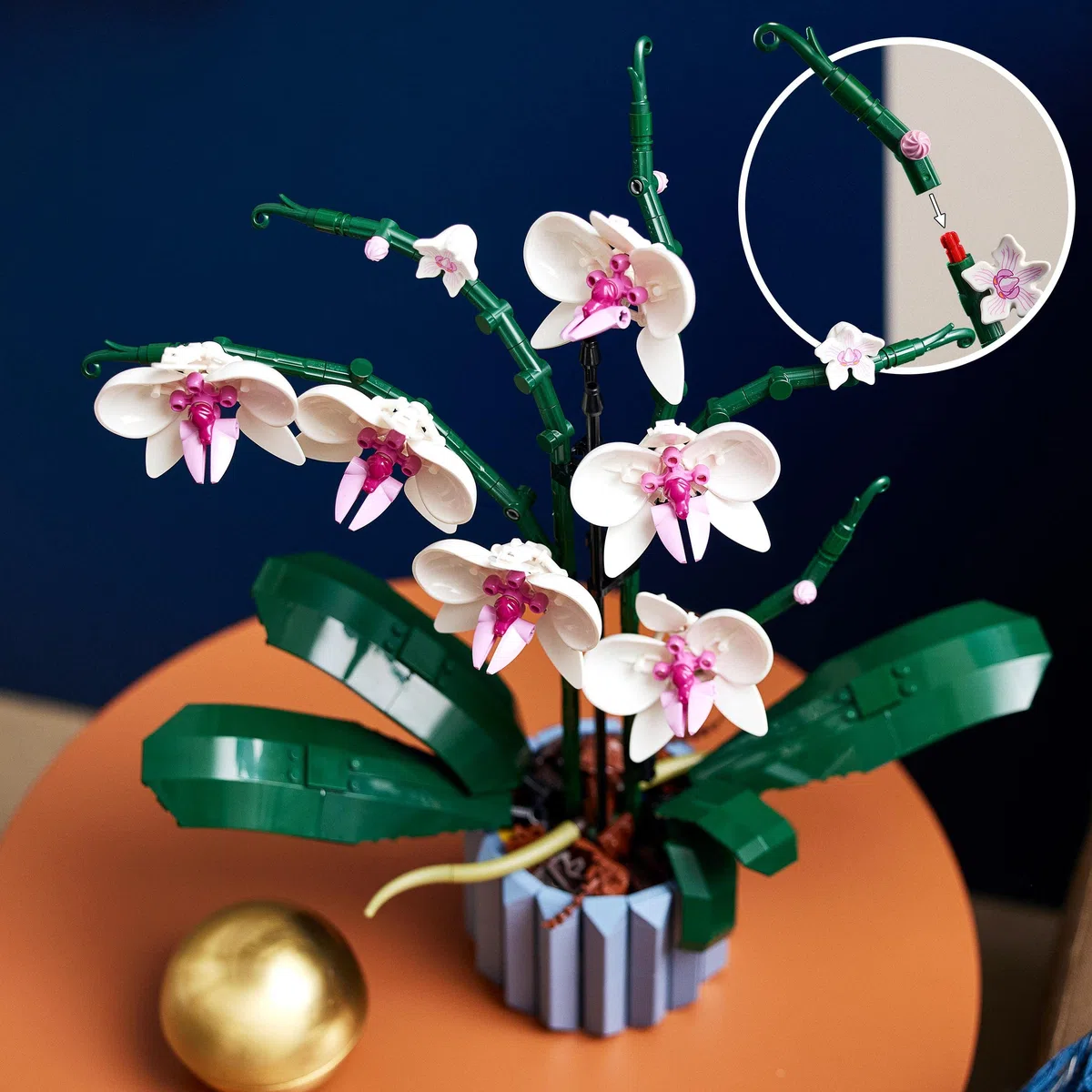 LEGO Botanicals Orchidea - Pianta Artificiale da Costruire per Adulti - Fiori Finti e Vaso da Interno per Decorazione di Casa o dell'Ufficio - Idee Regalo per Donna o Uomo da Collezione - 10311