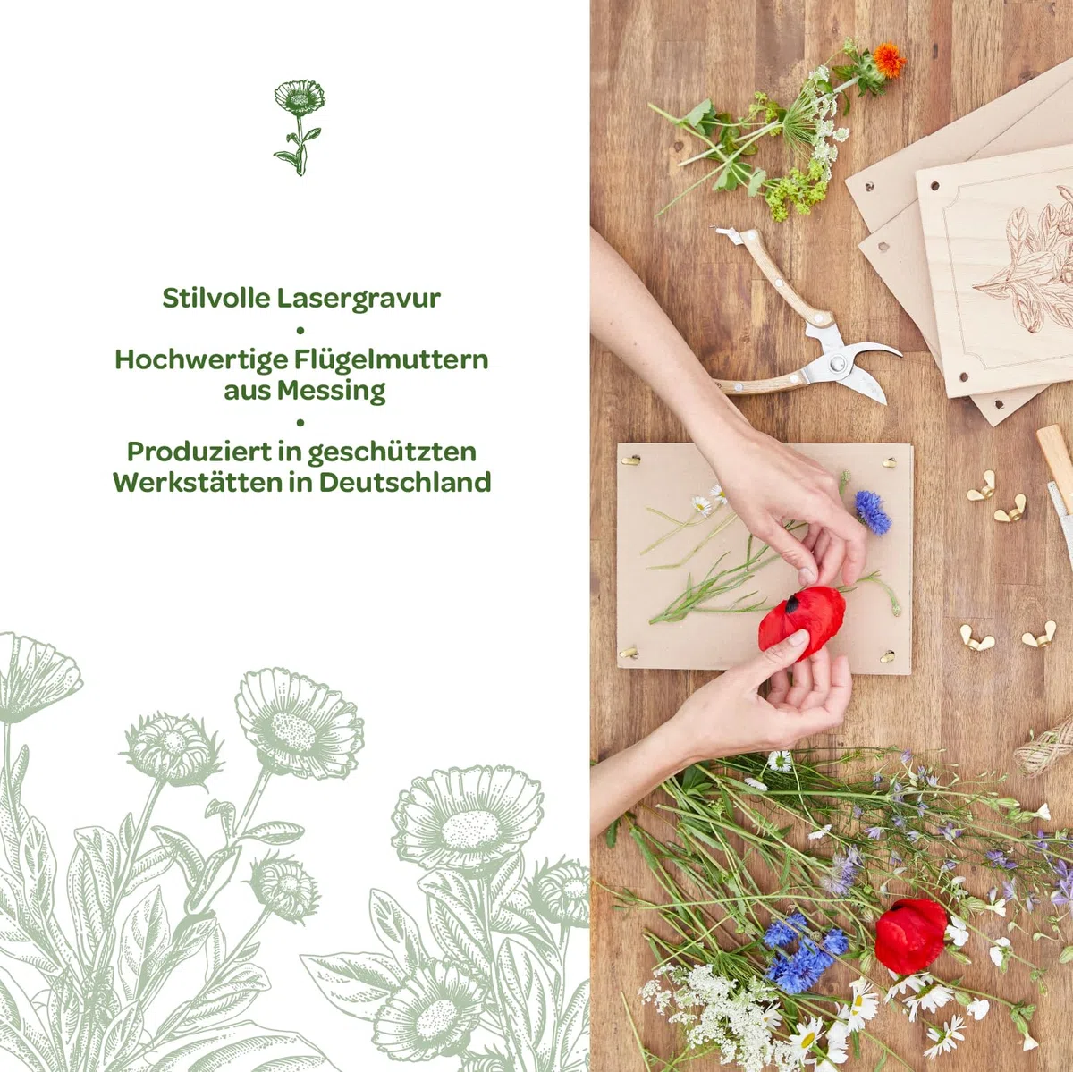 Die Stadtgärtner – Pressa per fiori in legno di faggio, pressa per piante di alta qualità per asciugare delicatamente i fiori, pressa in legno con ampia superficie di pressatura (190 x 250 mm)