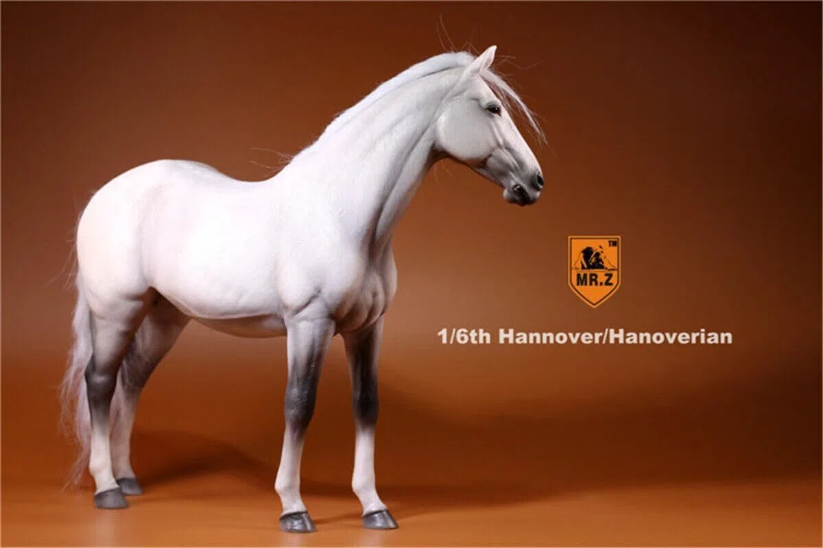AMITD Mr.Z 1:6 Scale Germany Hanover Horse Figure Hanoverian Steed Animal Figure (MRZ005)