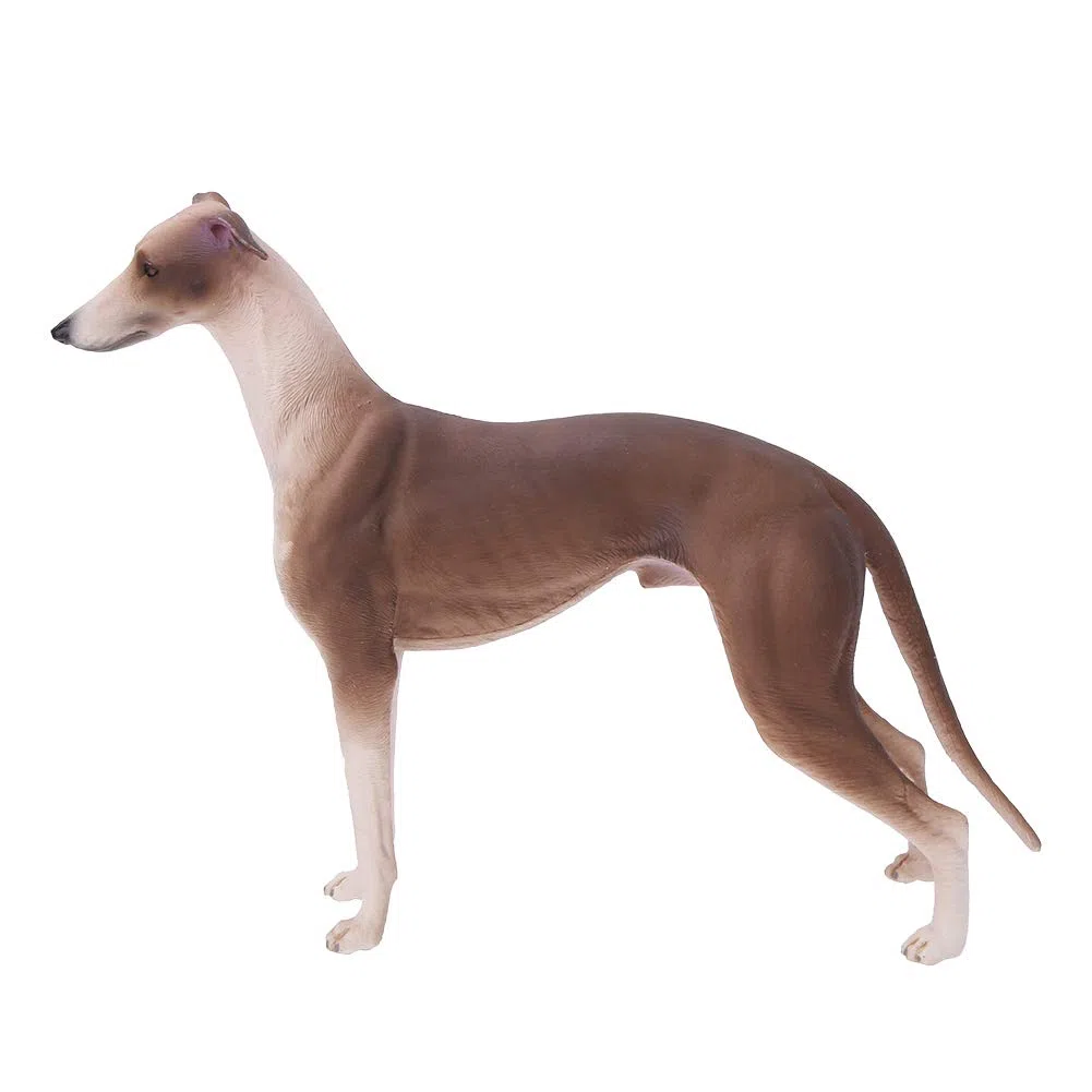 RiToEasysports Modello di Cane Levriero Marrone, Ornamenti di di Levriero di Simulazione Ornamento di Scultura Decorazione Desktop
