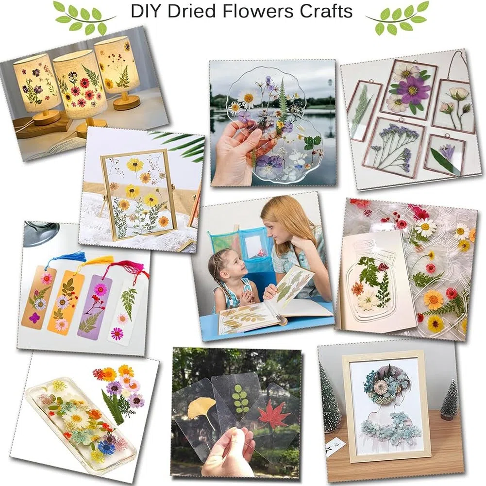 Kit di pressatura di fiori fai da te Kit professionale di pressatura di fiori 30 x 21 cm per adulti per realizzare fiori secchi e arti di pressatura di fiori