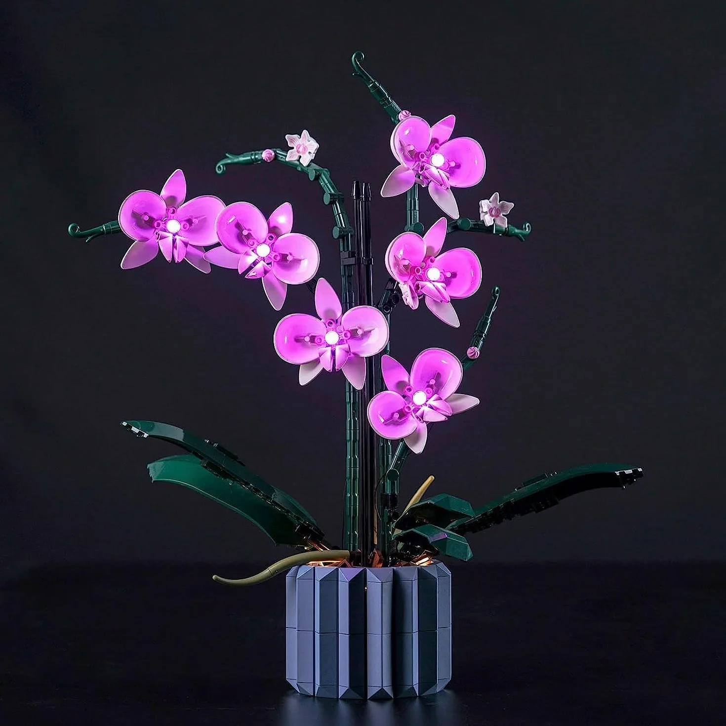 Set di luci LED compatibile con Lego Orchid (solo luci, nessun blocco di costruzione), Kit di luce compatibile con Lego 10311 Orchid Botanical Collection Set