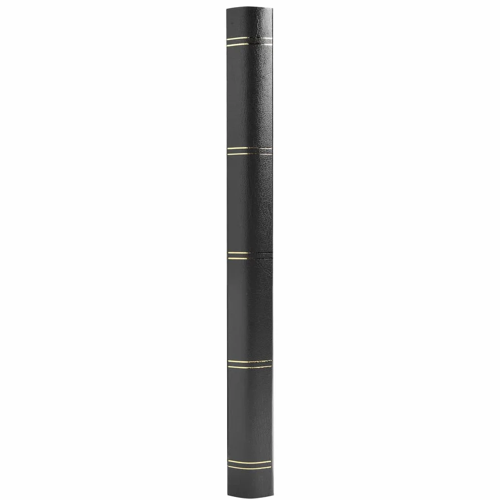 Exacompta - Cod. 21141E - 1 Album da francobolli in similpelle - 32 pagine nere - 17x22,5cm - Nero