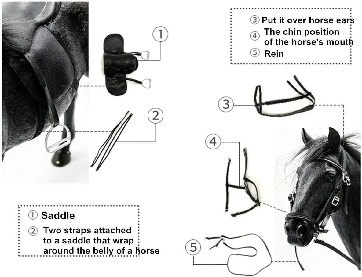 AMITD Mr.Z 1:6 Scale Germany Hanover Horse Figure Hanoverian Steed Animal Figure (MRZ001)