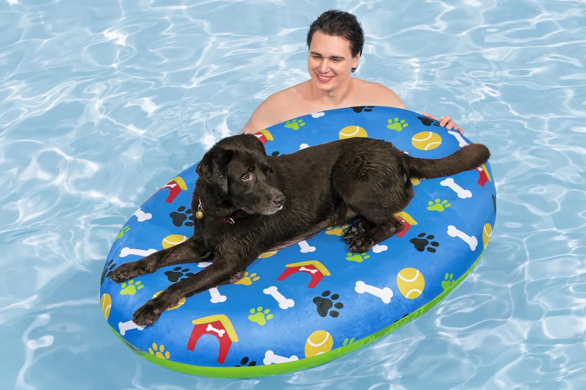 Bestway 43849 Materassino da piscina per cani Fetchin' Fun da 142x95 cm